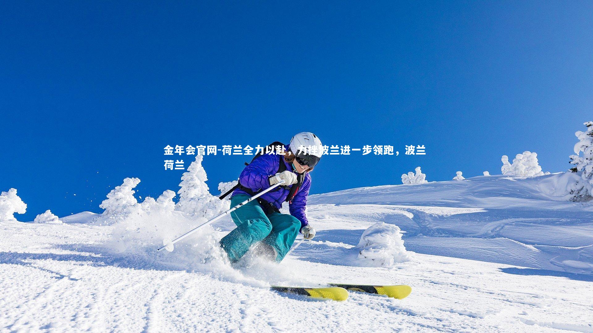 荷兰全力以赴，力挫波兰进一步领跑，波兰 荷兰